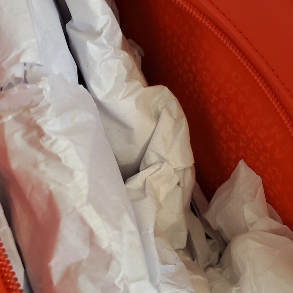 Violetta White street prickly pear - Picture 2 of 4